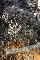 急需空調冰箱家電,廢紙廢鐵廢金屬,